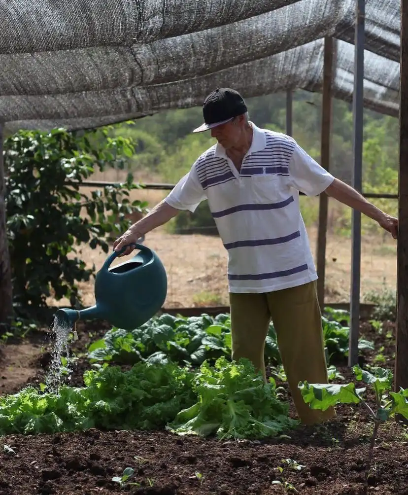 Abrigo Comendador Walmor Abrigo Comendador Walmor